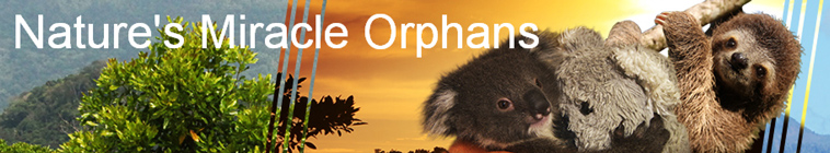 Nature s Miracle Orphans